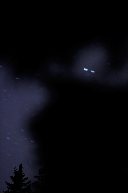 _D3S0984.jpg